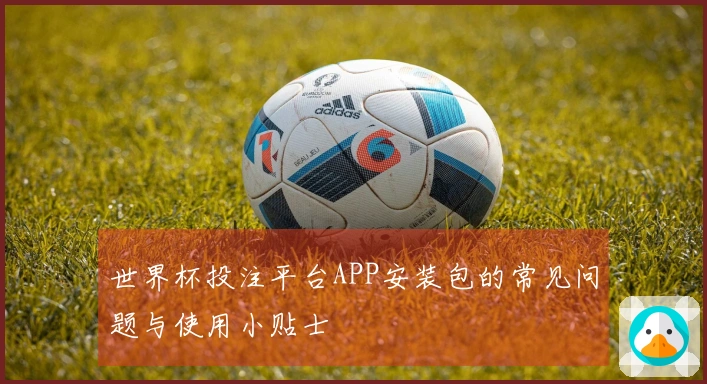 世界杯投注平台APP安装包的常见问题与使用小贴士