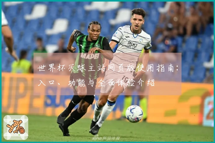 世界杯买球主站网页版使用指南：入口、功能与全面体验介绍