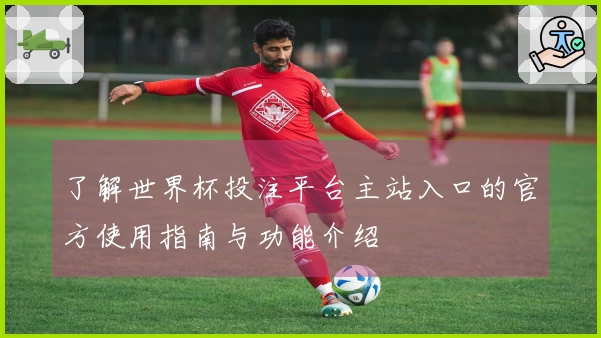 了解世界杯投注平台主站入口的官方使用指南与功能介绍