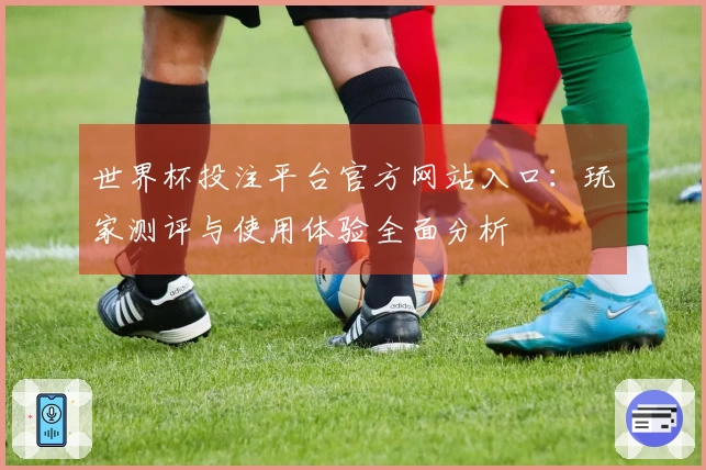 世界杯投注平台官方网站入口：玩家测评与使用体验全面分析
