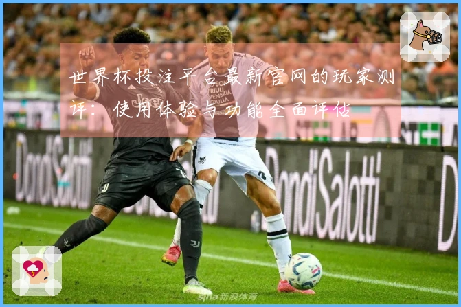 世界杯投注平台最新官网的玩家测评：使用体验与功能全面评估