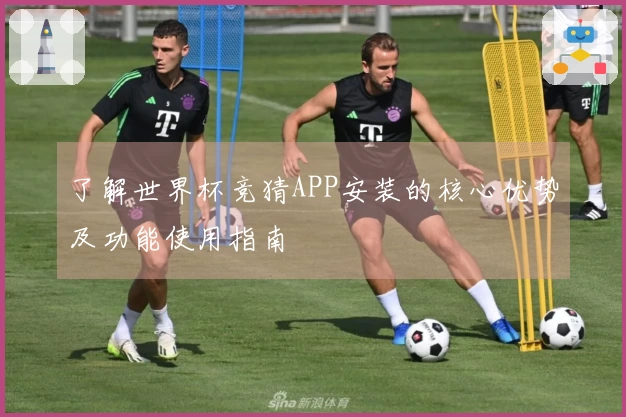 了解世界杯竞猜APP安装的核心优势及功能使用指南