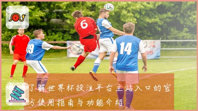 了解世界杯投注平台主站入口的官方使用指南与功能介绍