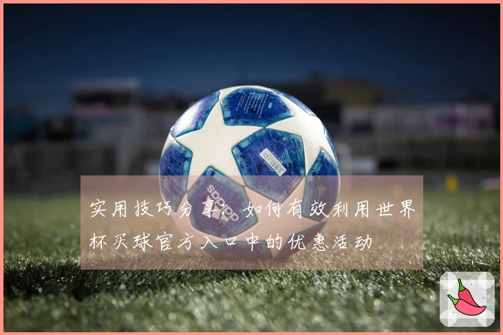 实用技巧分享：如何有效利用世界杯买球官方入口中的优惠活动